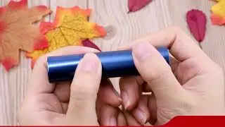 Heating not burning electrical cigarette Pluscig support 50 sticks