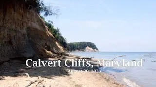 A Day at Calvert Cliffs! Birds, Butterflies, Ships, and Dragonflies