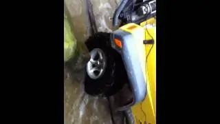 Rocks n trees. Oh my!