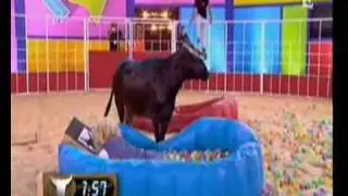 Vamos a la playa - Intervilles (France3) 2009