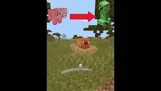 99% of minecraft player did not know these facts 👽