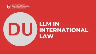 DU LLM in international law