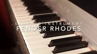 Eighty Eight (Fender Rhodes) by REDTAPE SAMPLES