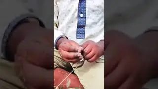 Traditional little Boy hunting Big fish by hook..🎣🐬🐬 Best fishing Video |  #fishingvideo #shorts