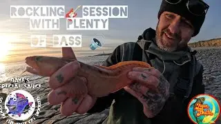 ROCKling Session 🤘With Plenty of BASS 🔊 