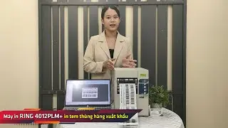Giải Pháp In Tem Xuất Khẩu | Máy In Mã Vạch RING 4012PLM+: Chấm Dứt Nỗi Lo Hàng Bị Trả Về!