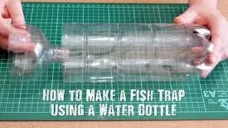Survival Fish Trap using just one Bottle