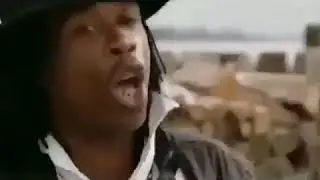 chicken in the corn