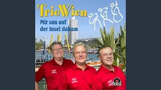 Der Mond im Zwetschkenbam