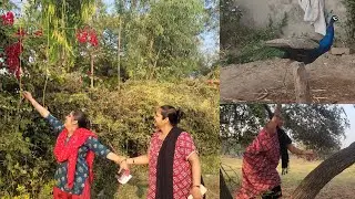 😱 Meri Beti Ki Girlfriend 🤣 | 🌳 Aaj Tode Bohot Saare Ber | Desi Feeling