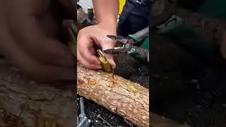 😮really???🔥🔥 #shorts #viral #ytshorts #deluxetooltips #satisfyingvideo #protips #tooltips #really?