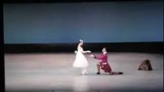 Fernando Monta&ntilde;o & Akane Takada ( La Sylphide )