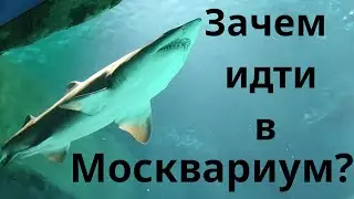 Москвариум - интересно или нет?