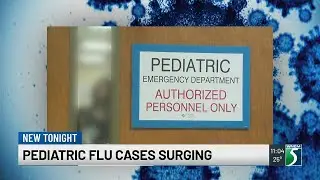 Flu cases rise sharply among Mid-Michigan children as season hits early