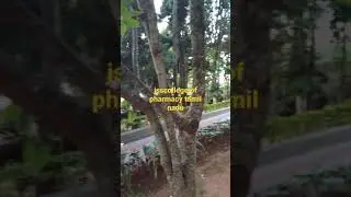 jss college of pharmacy ooty