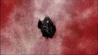 Counterfeit (Official Visualizer)