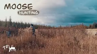 Solo September Moose Hunting BC 2024