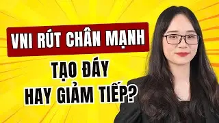 Nhận định thị trường tuần 29-31/12: VNI Rút chân mạnh - Tạo đáy hay giảm tiếp| Chứng khoán hôm nay