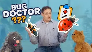 Есть ли у насекомых работа? Всё о насекомых с доктором Майклом Энгелем | S.T.E.A.M. для детей