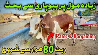 Naval Moach Goth Maweshi Mandi | mandi update season 2024 |