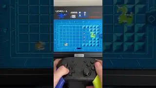 Zelda (NES) Level 1 with the white sword