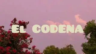 El CODENA- Camila Fuentes y Francesca Reyes 4to 