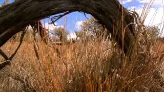 Occam's Grazer An In depth Introduction to Holistic Management