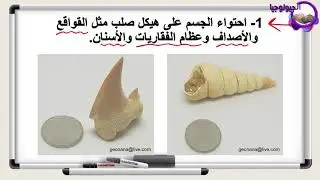 الجيولوجيا - الصف الحادي عشر - الفصل الدراسي الثاني - الحياة في الماضي : ما هي الأحافير؟