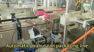 Riempitrice automatica di pesatrici per arachidi, linea di etichettatura per sigillatura