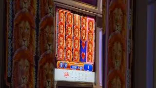 ✳️275X WIN!!✳️King of Africa Slot #slotman777 #casino #shorts