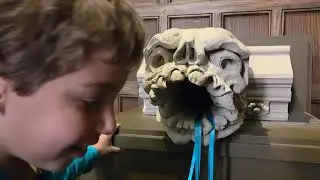 David visits Washington, DC!!! Давид в Вашингтоне, округ Колумбия!!!