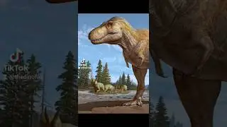 Новый тираннозавр!