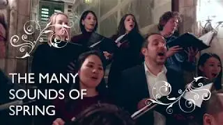 The Many Sounds of Spring 2018