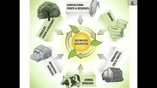 Biomass conversion technology  and types