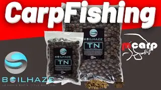 BOILHAZE&trade; BOILIES O.G. TUNA Carpfishing