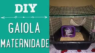 DIY | Maternidade Para Rato Twister Feita em Casa