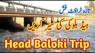 Head Balloki | Head Baloki Lahore | Head Baloki River | Tour Head Baloki Phool Nagar Punjab Pakistan