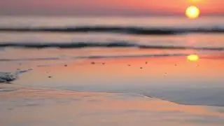8 Evening Eco | Calm Ocean Background