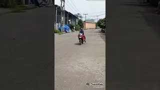 tes ban cacing ninja rr