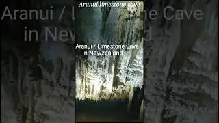 🔥Aranui /Limestone Cave(magical cave) - Newzealand,💥 #shorts,#shortsfeed,#shortstamil