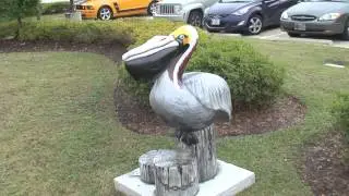 Louisiana Pelican Art