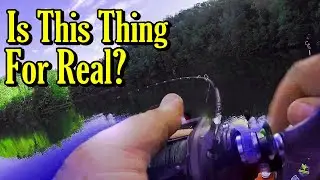 Spiral Guide Rod Review - Keep'r Cull