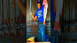 wow! 😎 high speed fish cutting skill #fishcutting #colorfulfish #shorts