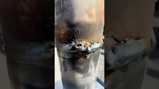 The biggest challenge when MIG welding outside&hellip; #welding #tips #funnyvideo #creatorsearchinsights