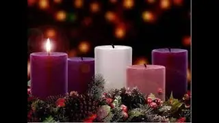 Spiritual Reading : Advent Wednesday 1 - Bishop Roy