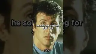 Sylvester Stallone Sold His Dog Before Rocky Made Him a Legend! 🥊