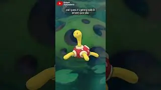 I have no idea what Shuckle is but I love it || Pok&eacute;mon Review