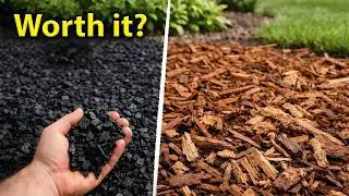 Everything You Need To Know About Rubber Mulch