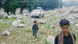 Chokail Meadows Mankial Swat Valley