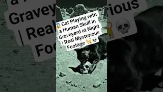 #UKMystery #CreepyCat #GraveyardSecrets #ScaryShorts #HauntedUK #NightMystery  #UKParanormal #Spooky